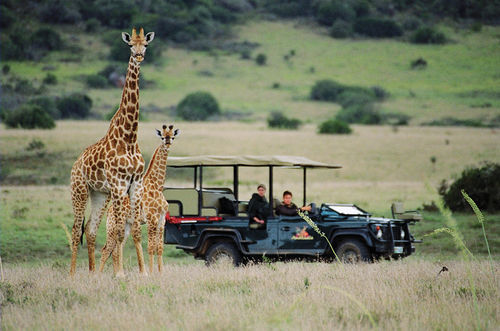Amakhala Safari Lodge Paterson Eksteriør billede