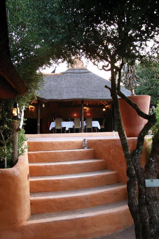 Amakhala Safari Lodge Paterson Eksteriør billede