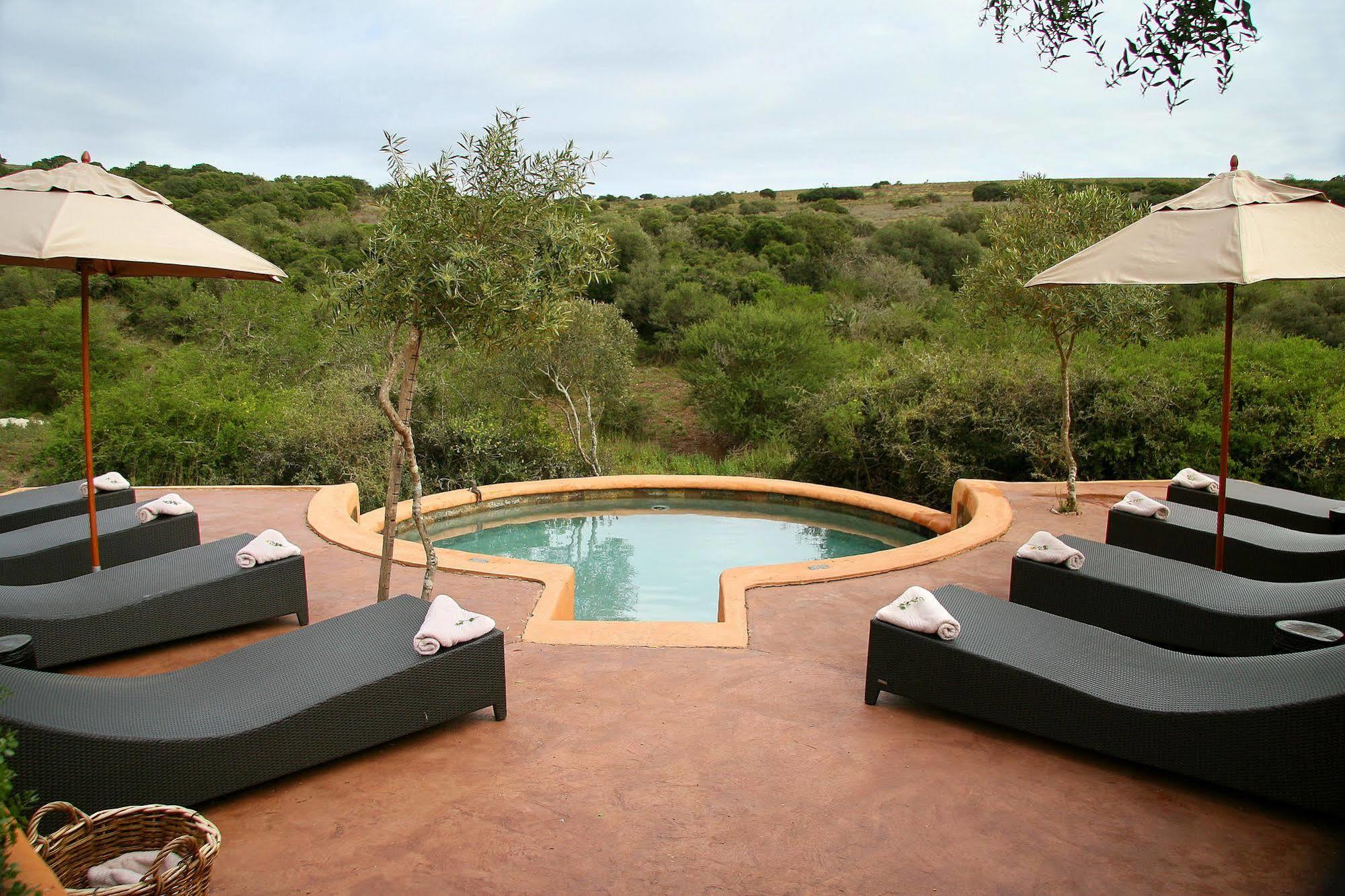 Amakhala Safari Lodge Paterson Eksteriør billede